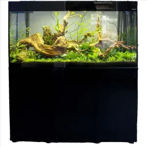 Aquael Glossy 100 Complete Set - 100 x 40 x 63cm (215L) - Black