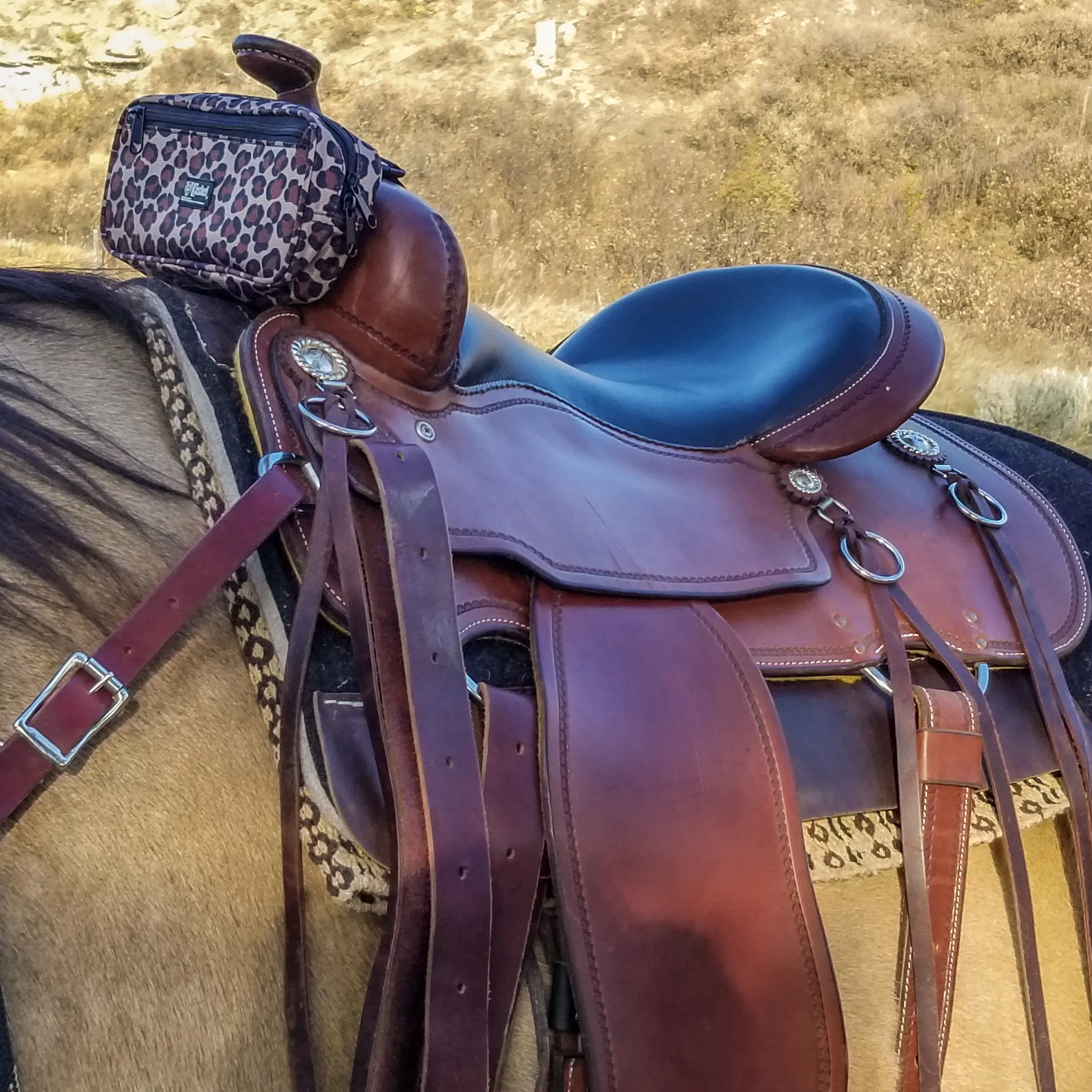 Cashel Small Pommel Bag