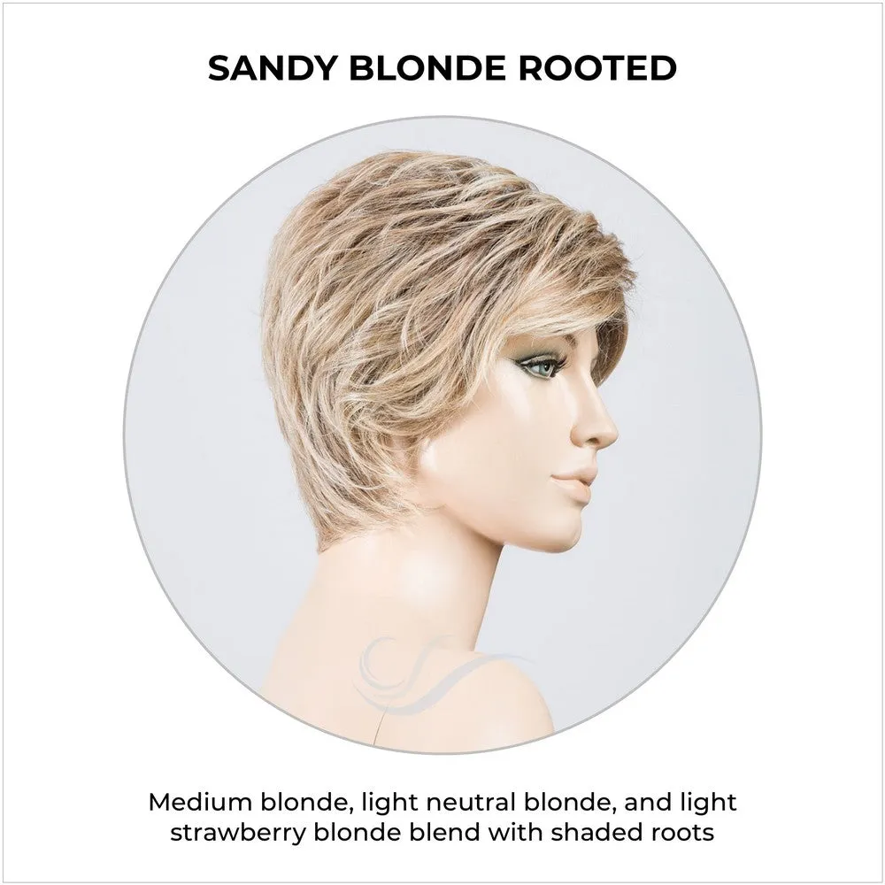 Cover by Ellen Wille (Lace Front-Mono Part Wig)
