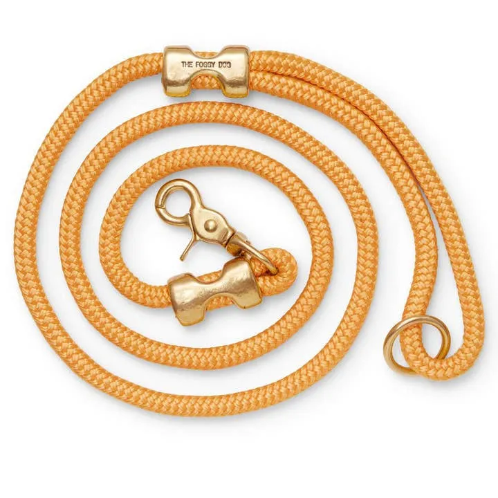 Dog Leash | The Foggy Dog |