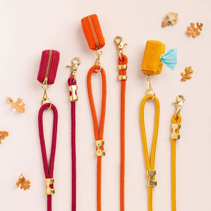 Dog Leash | The Foggy Dog |