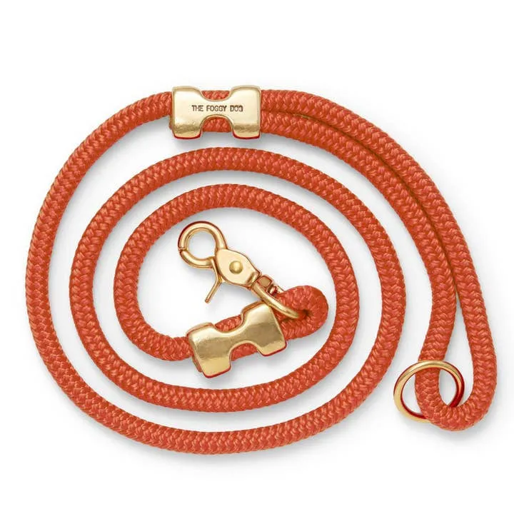 Dog Leash | The Foggy Dog |