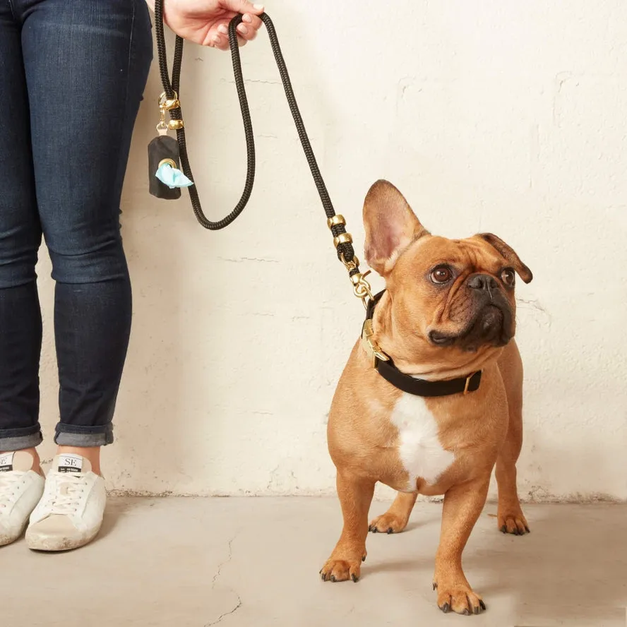 Dog Leash | The Foggy Dog |
