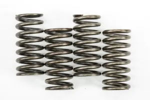EBC CSK248 Redline Clutch Springs