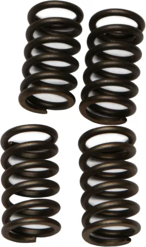 EBC CSK4 Redline Clutch Springs