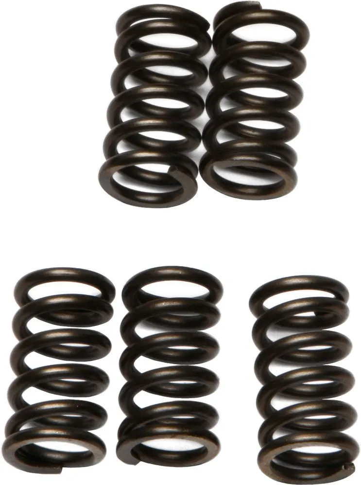 EBC CSK78 Redline Clutch Springs