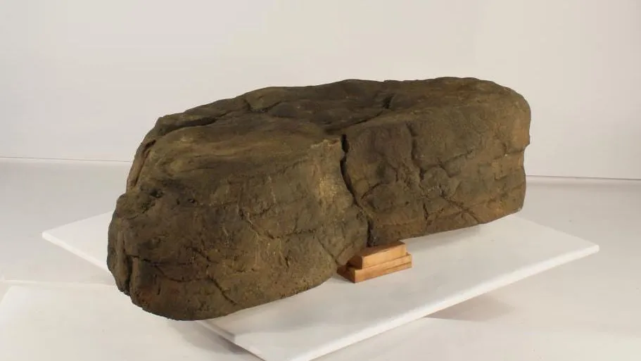 Edge Rock - ER-008 by Universal Rocks