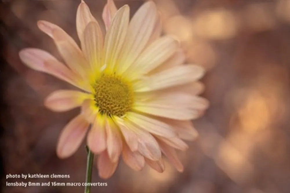 Lensbaby Pro Effects Kit for Nikon