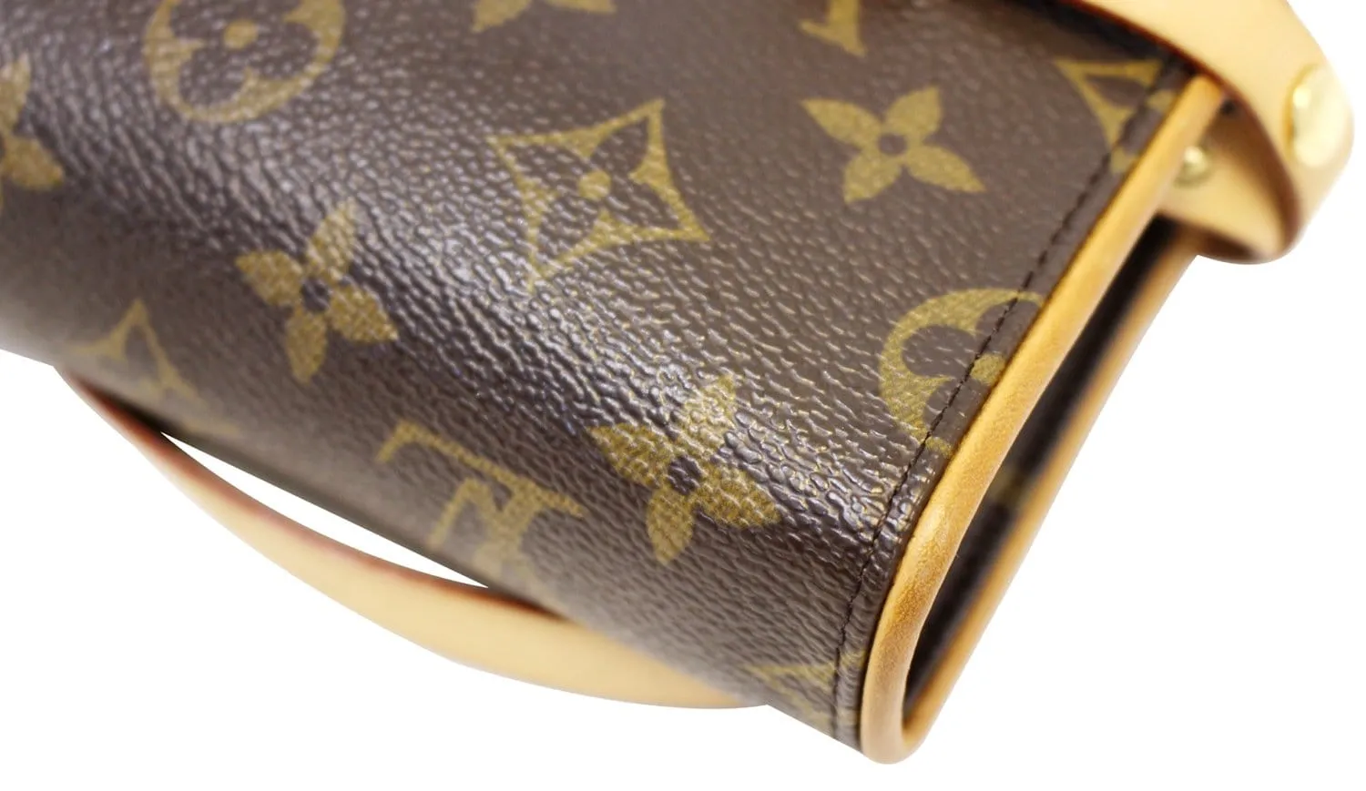 LOUIS VUITTON Monogram Pochette Florentine Waist Bag