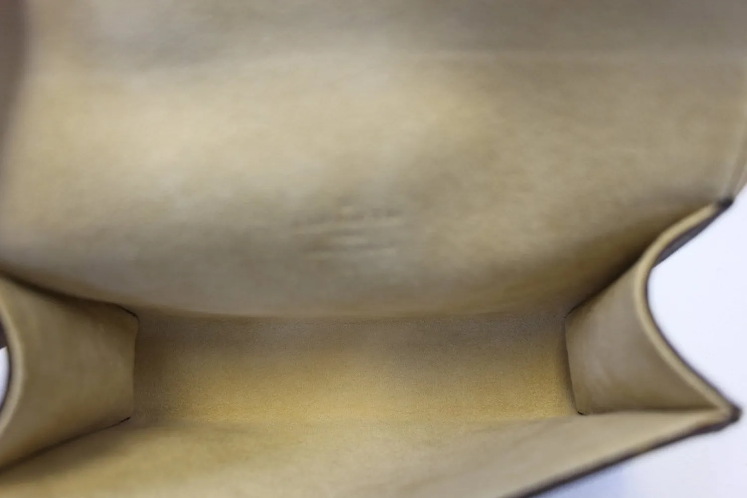 LOUIS VUITTON Monogram Pochette Florentine Waist Bag