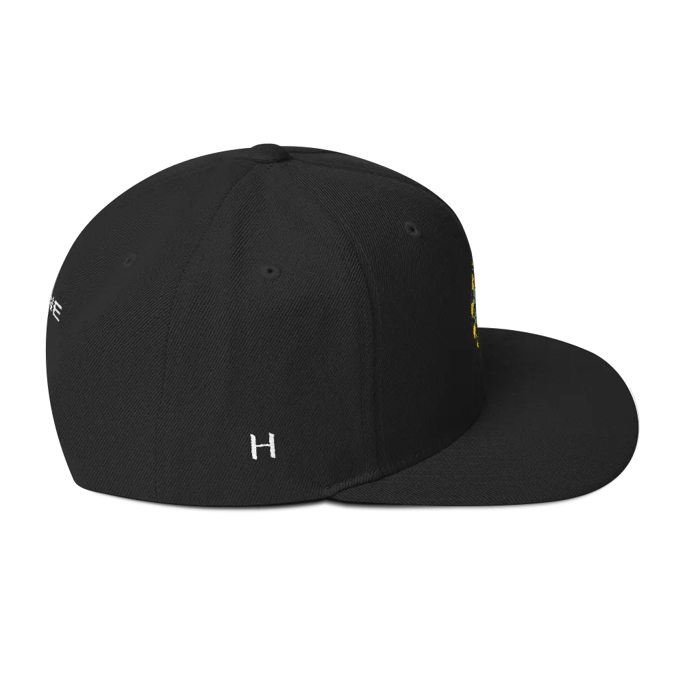 NERD Brain logo embroidery Snapback Cap. Pharrell Williams, Chad Hugo & Shay Haley.