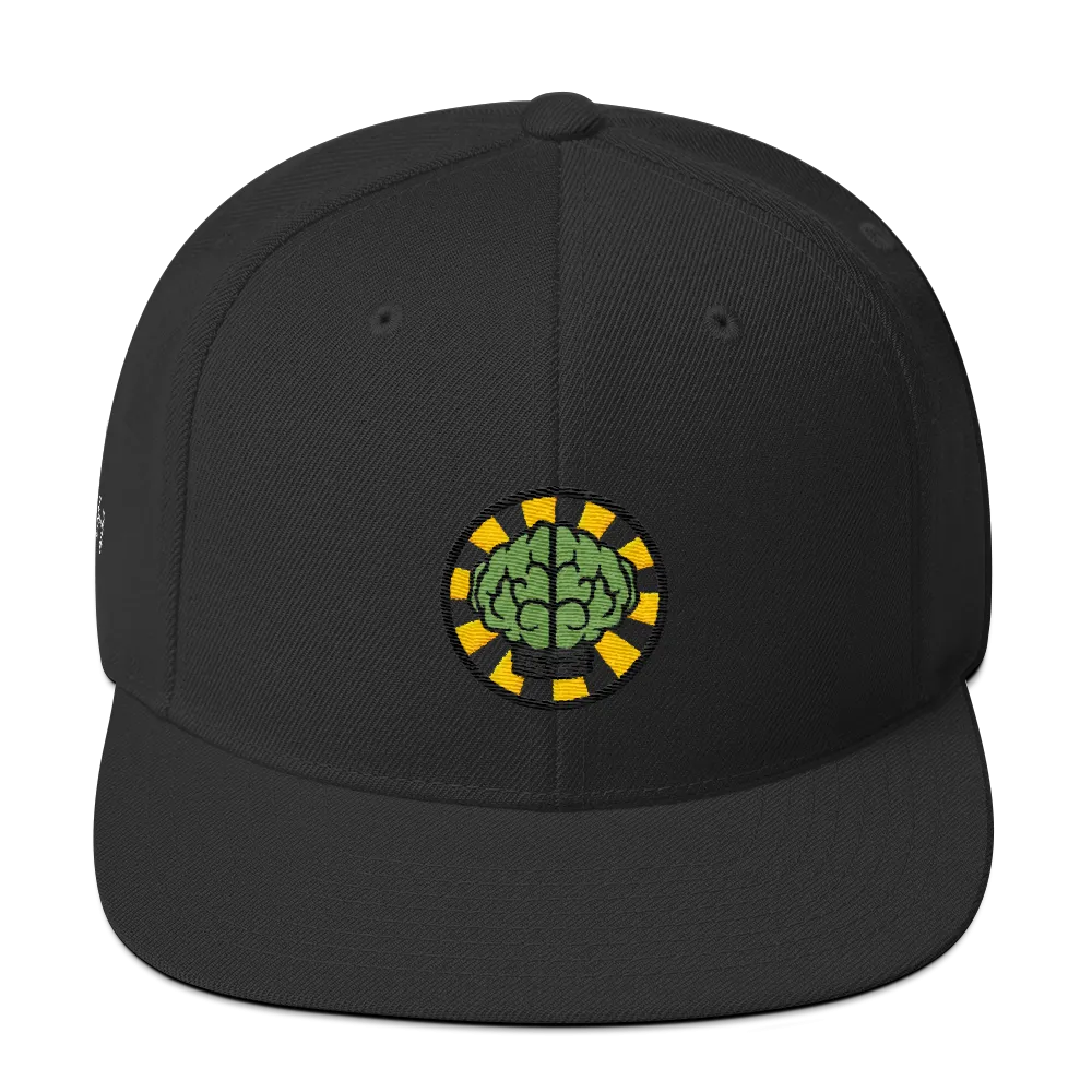 NERD Brain logo embroidery Snapback Cap. Pharrell Williams, Chad Hugo & Shay Haley.