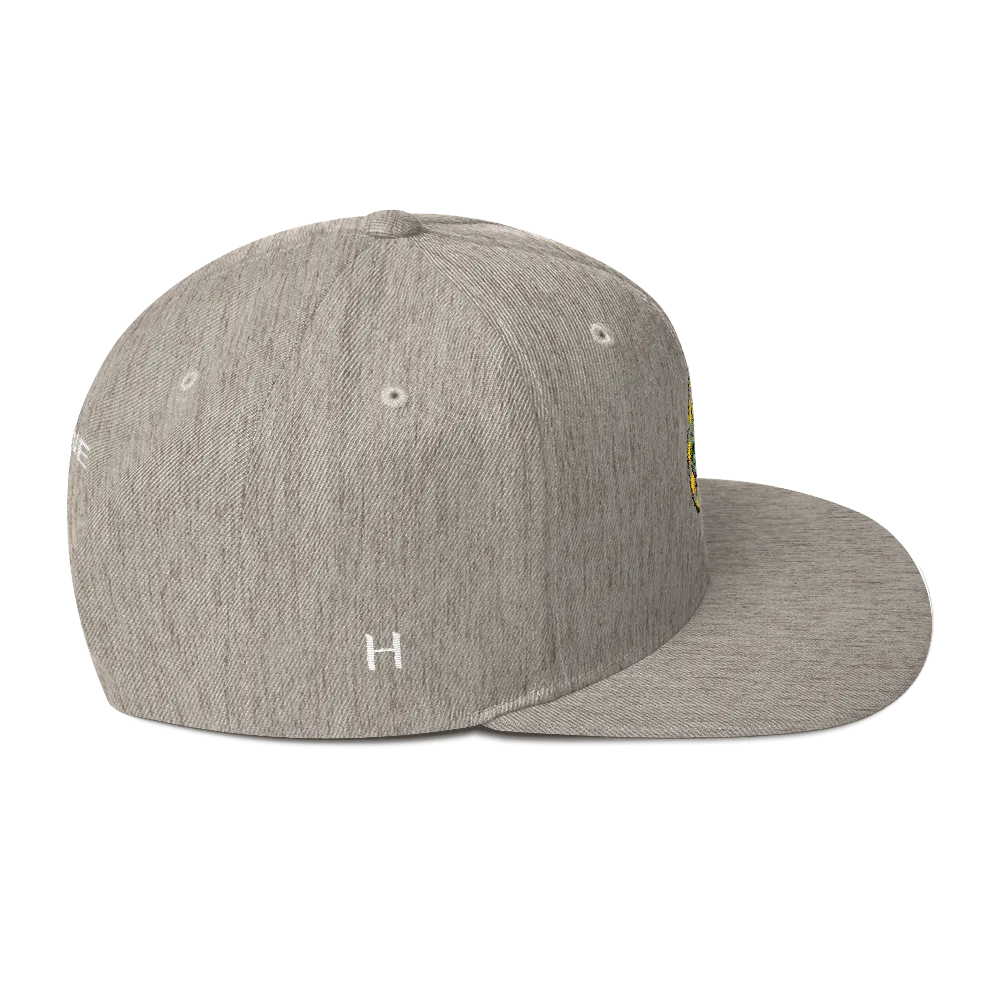 NERD Brain logo embroidery Snapback Cap. Pharrell Williams, Chad Hugo & Shay Haley.