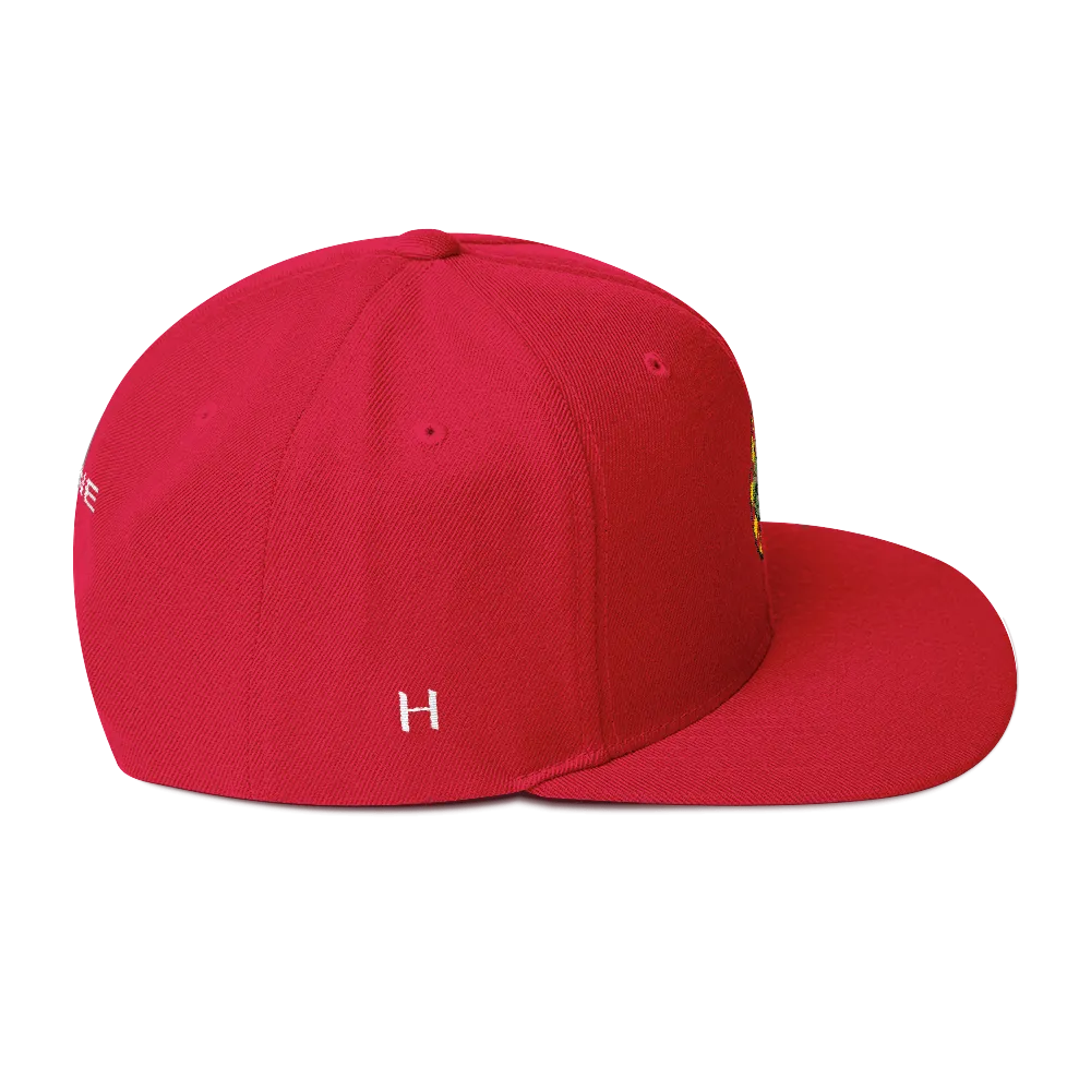 NERD Brain logo embroidery Snapback Cap. Pharrell Williams, Chad Hugo & Shay Haley.