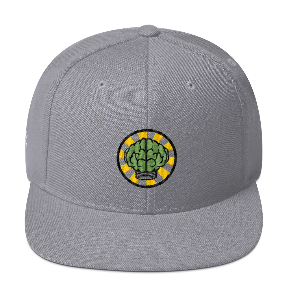 NERD Brain logo embroidery Snapback Cap. Pharrell Williams, Chad Hugo & Shay Haley.