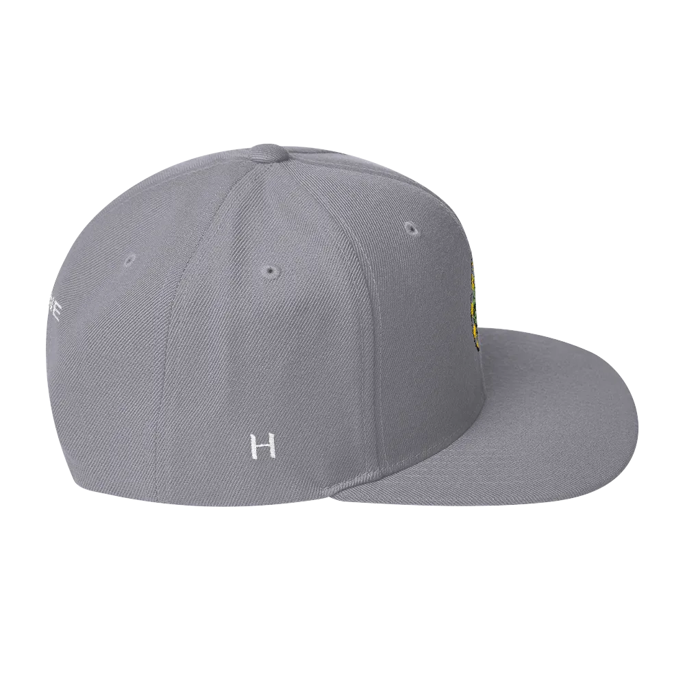 NERD Brain logo embroidery Snapback Cap. Pharrell Williams, Chad Hugo & Shay Haley.