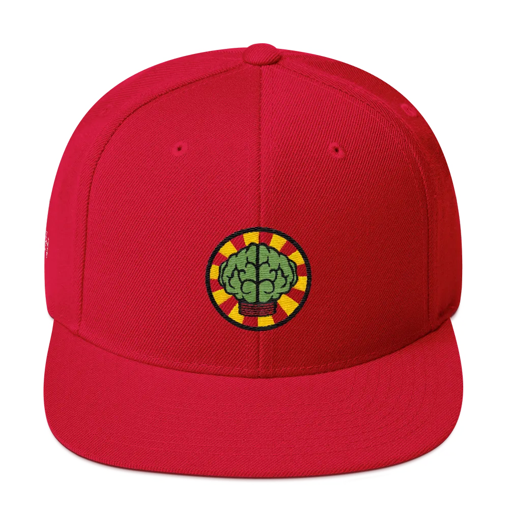 NERD Brain logo embroidery Snapback Cap. Pharrell Williams, Chad Hugo & Shay Haley.