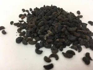 Nu Zhen Zi - Glossy Privet Fruit