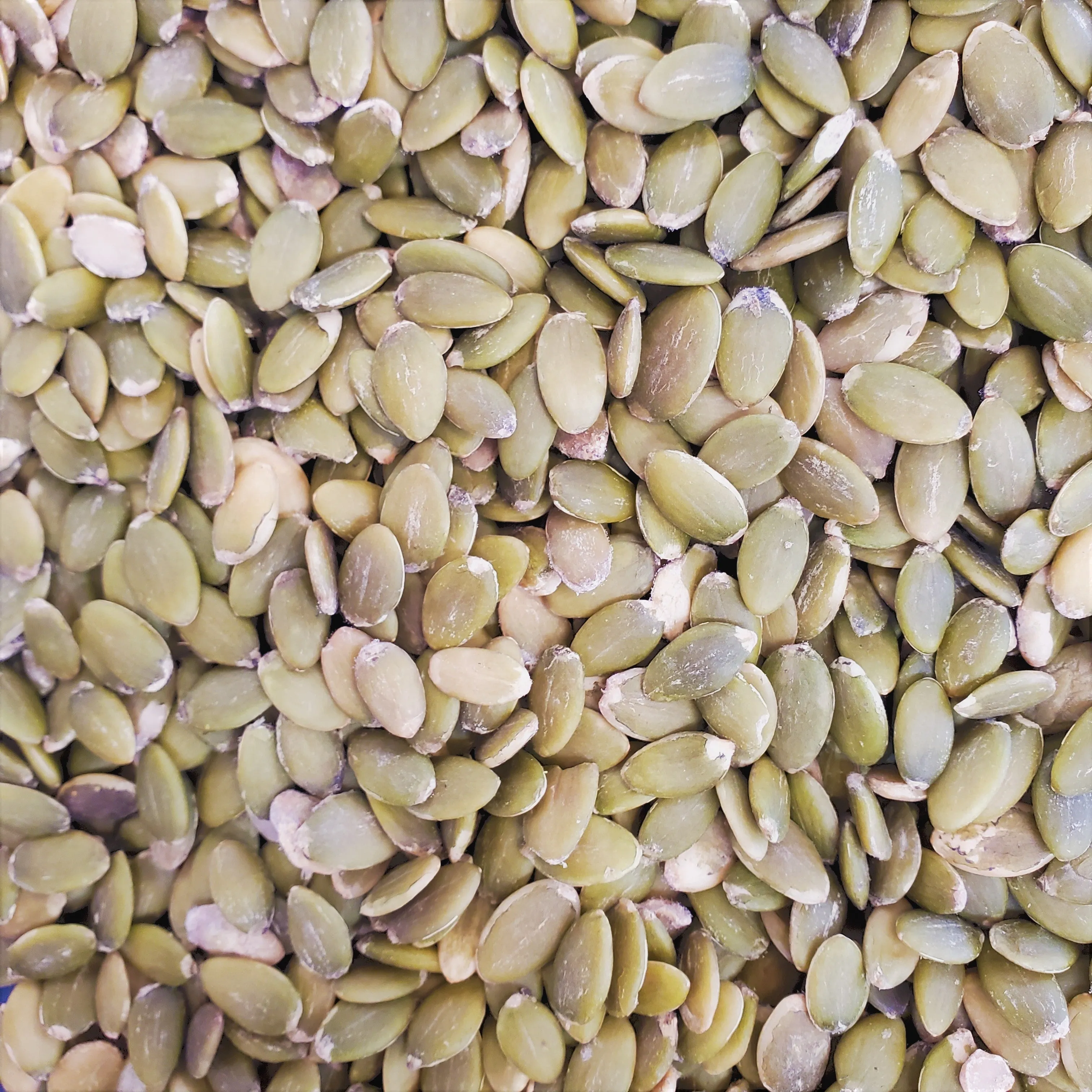 Pepitas Raw (Pumpkin Seeds)