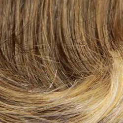 Petite Lori H-Mono | Remy Human Hair Wig (Mono Top)