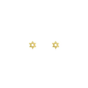 Petite Star of David Post Earrings