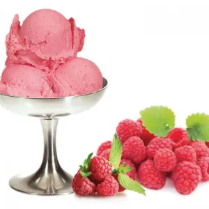 PreGel - Raspberry Ready To Use (10 x 1.3kg Case)