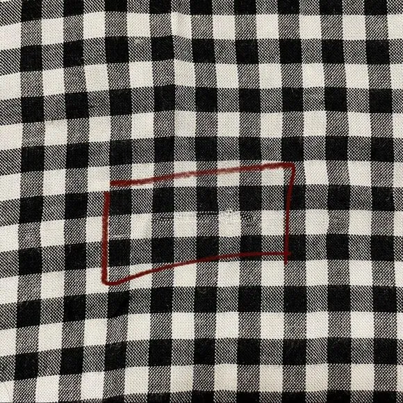 Privacy Please | Burbank Skirt in Black Gingham