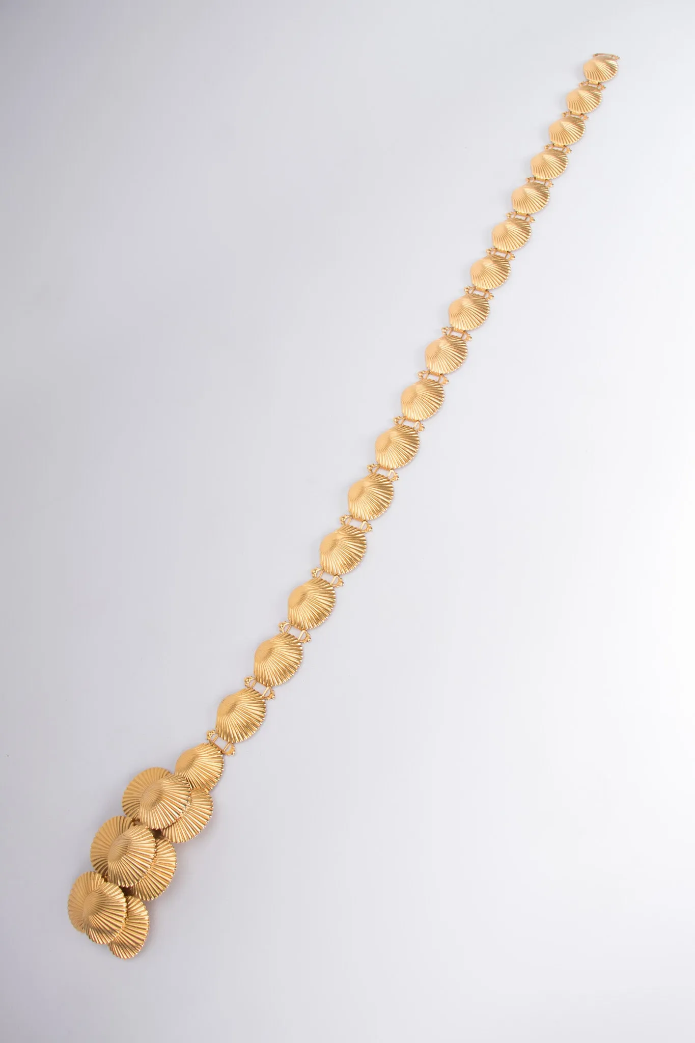 Seashell Belt