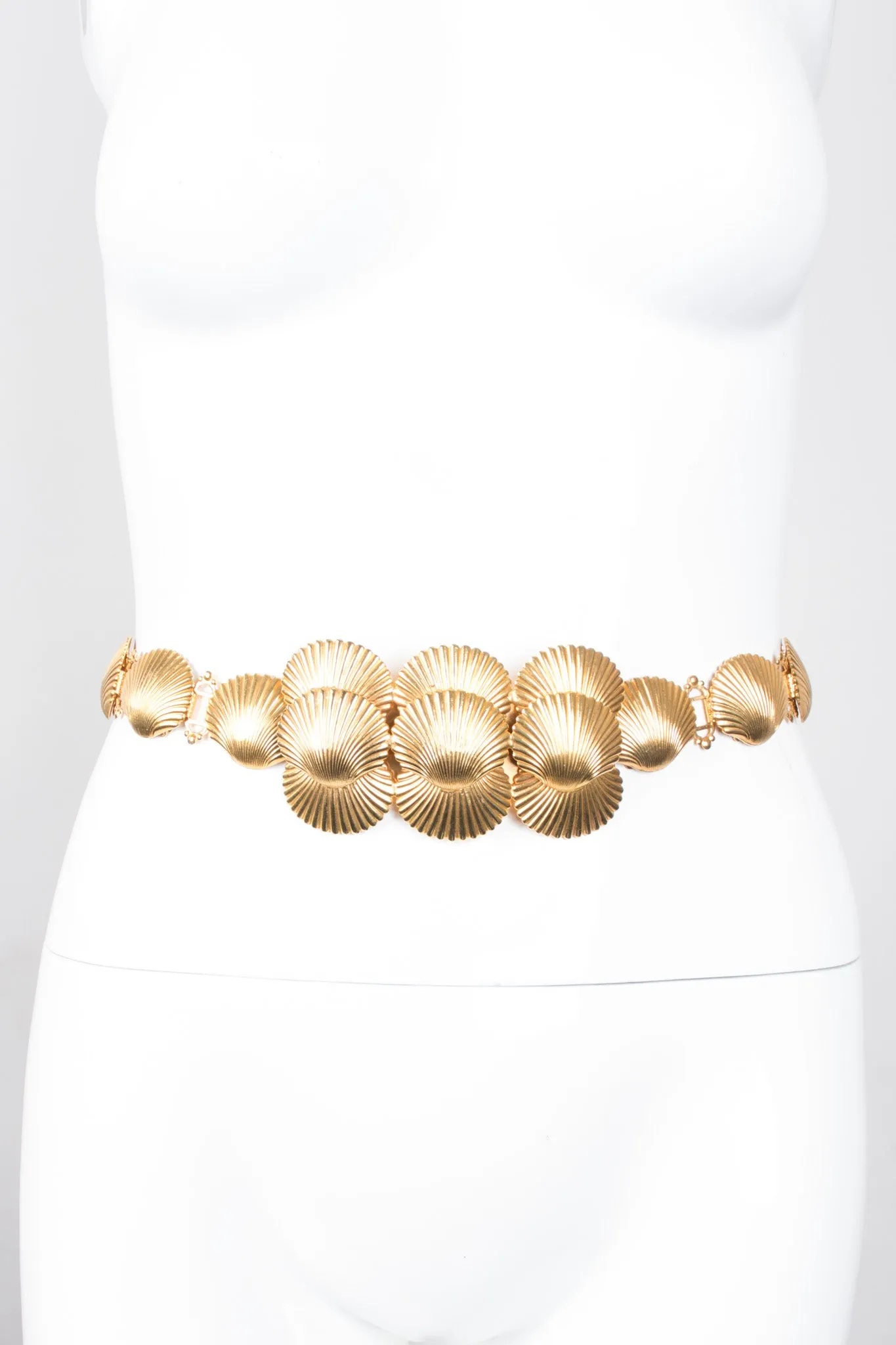 Seashell Belt