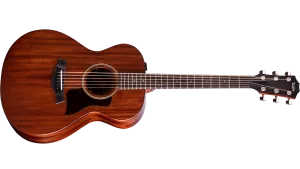 Taylor AD22e