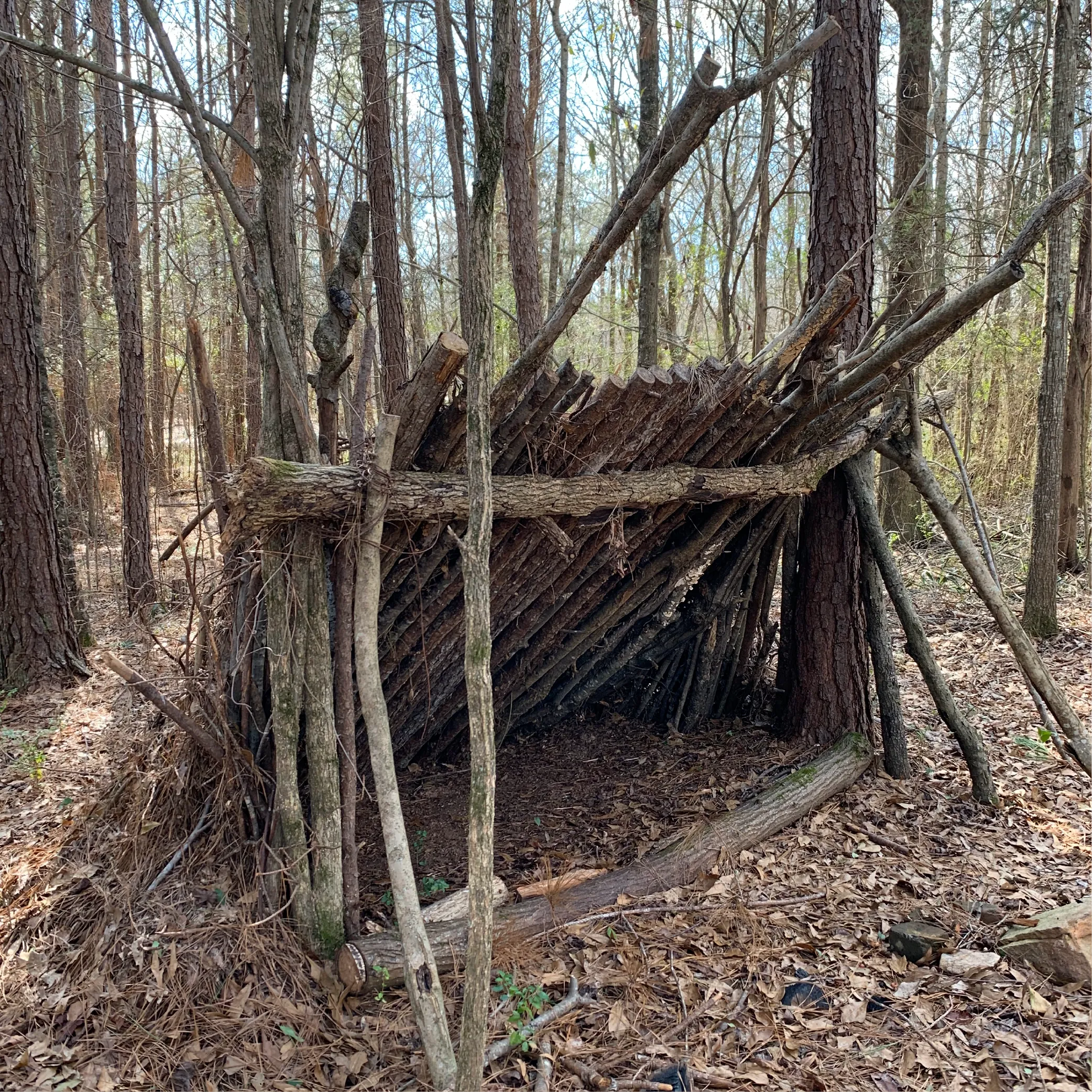 Wilderness Survival