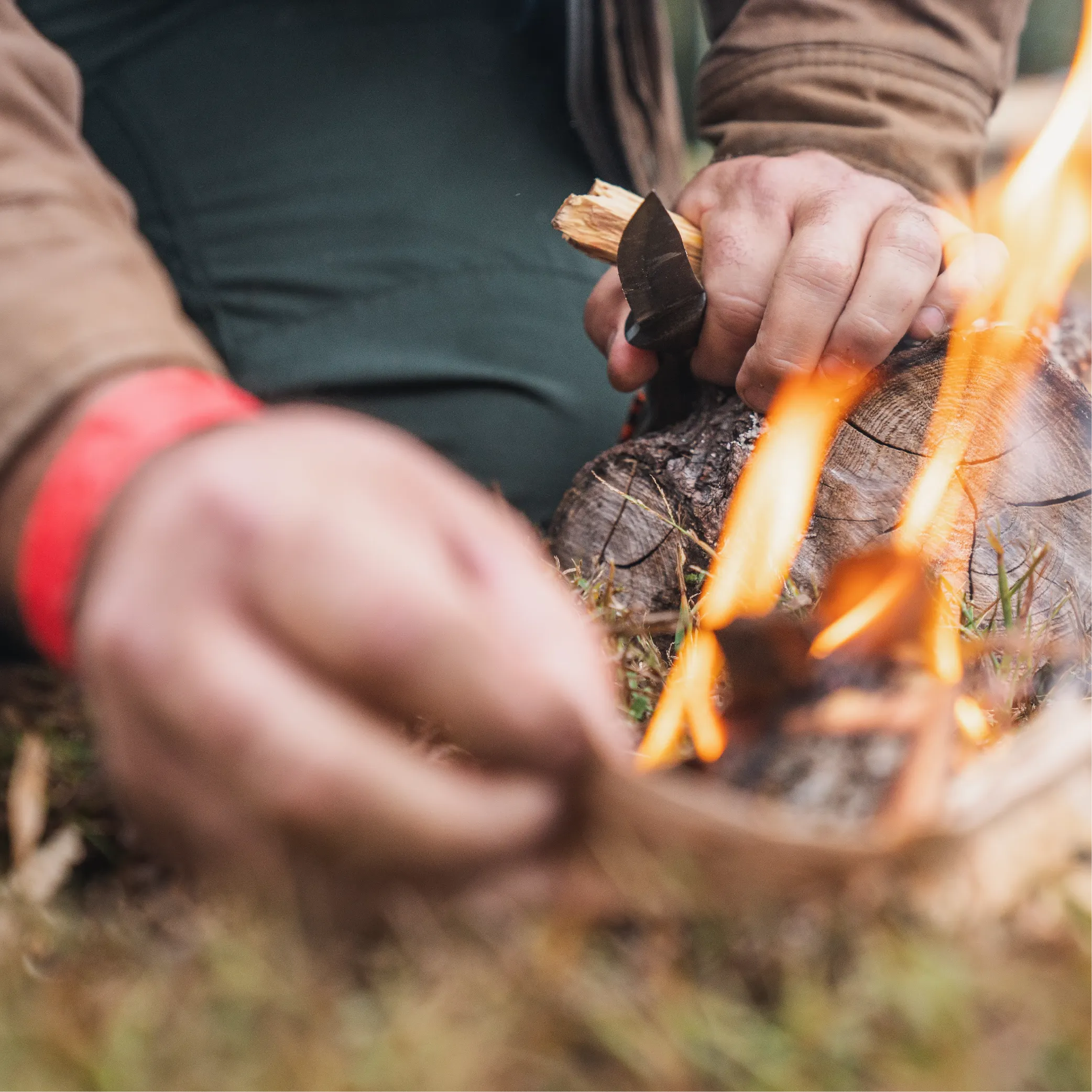 Wilderness Survival