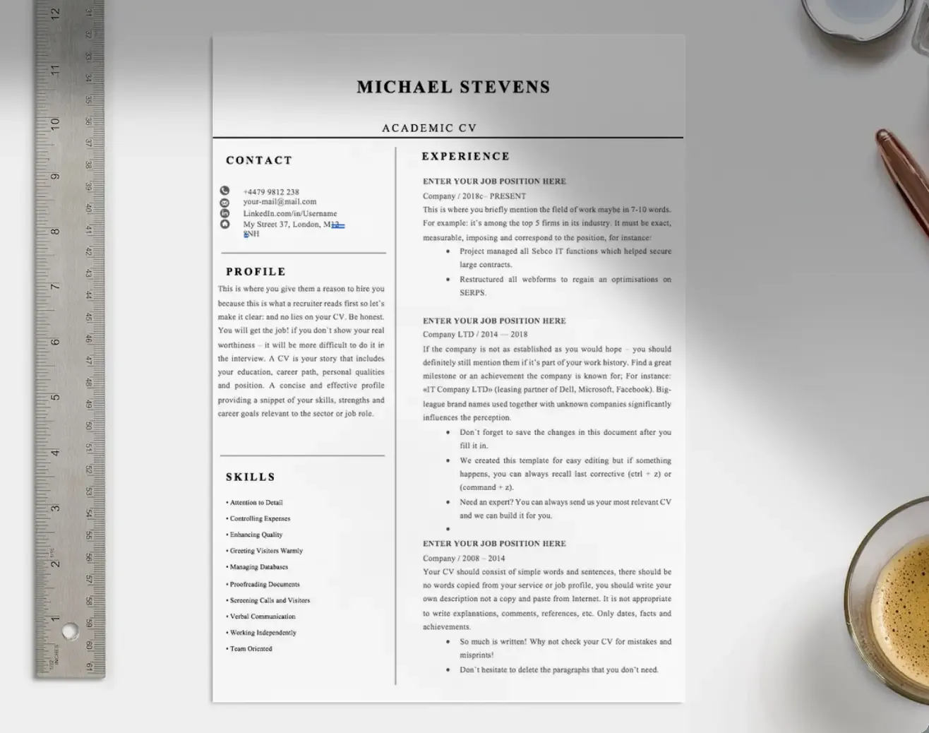 Wiz Professional CV Template